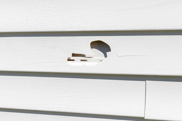 Best Property Management Cleanouts  in Eutaw, AL